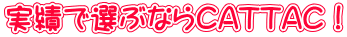 実績で選ぶならCATTAC！